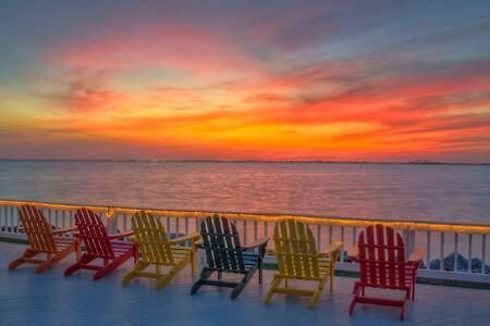 The Hemingway Subtropical Luxury On The Tampa Bay Villa Exterior foto